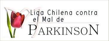 Organización 13