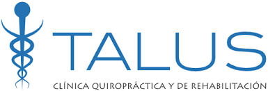 Organización 21