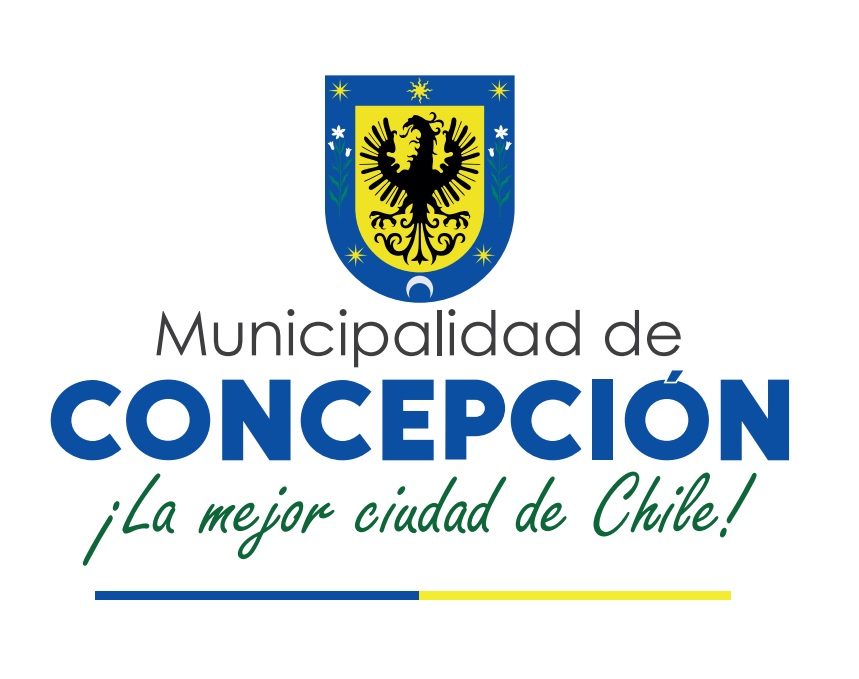 Organización 4
